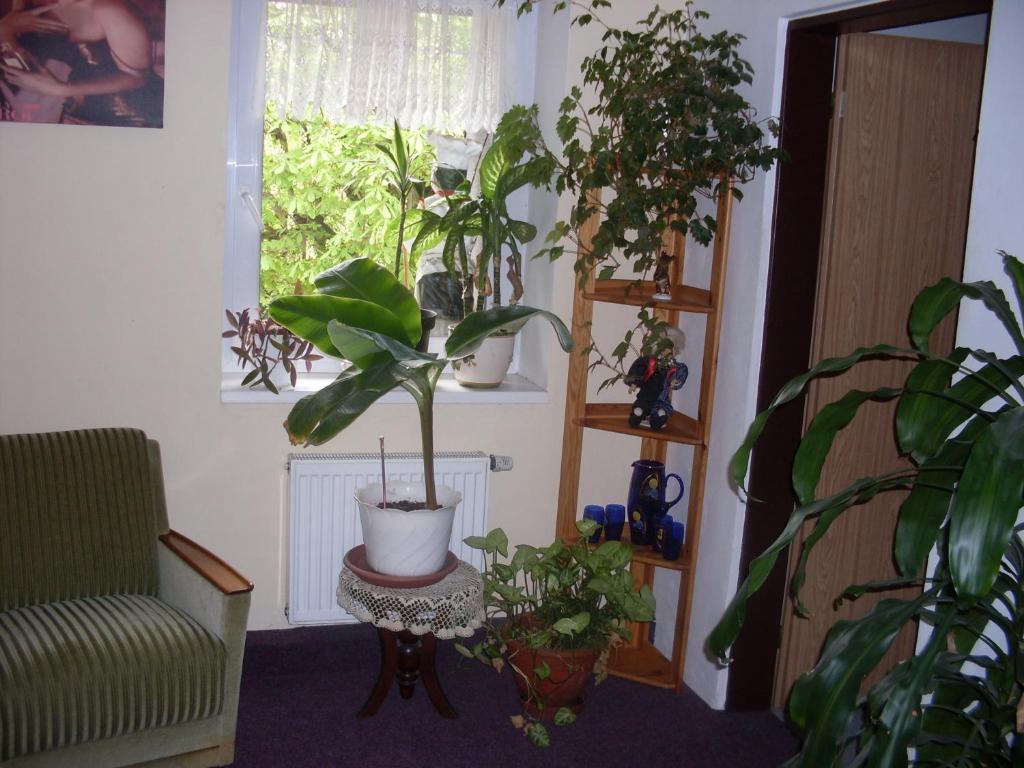 Pension U Kastanu Karlsbad Zimmer foto